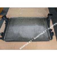Интеркулер Volkswagen Passat CC 2009 1K0121345N, 1K0121345M