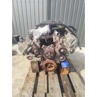 Двигатель форд мустанг gt 4.6 v8 8s - 837 - aa