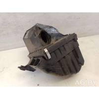 Корпус воздушного фильтра Volkswagen Passat B5 2000 8D0129607M 058133843