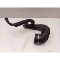 Патрубок интеркулера Mercedes E W211 2004 A6460940097