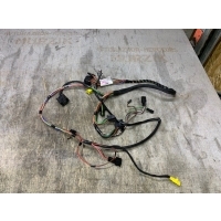 Проводка двери MERCEDES CLK-CLASS W208 2001 A2085405406, A2085405207