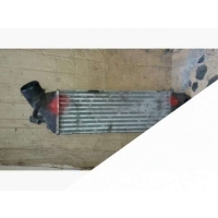 Интеркулер Citroen C8 2004 1489396080