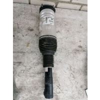 Пневмостойка передняя Land Rover Discovery 5 2017 HY323C286BC, HY323C286,LR081564, LR123712