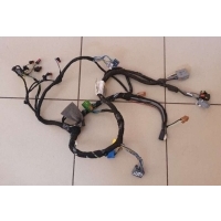 Проводка Land Rover Range Rover Sport 2 2014 DK6214B079DD,LR054052