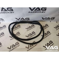 Уплотнитель двери передней правой Audi A6 C6 (S6,RS6) 2005 4F0831721