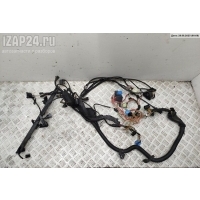 Проводка двигателя BMW 5 E39 (1995-2003) 2000 1439174, 1439184