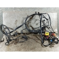 Проводка двигателя ЕСТЬ ДЕФЕКТЫ НЕСКОЛЬКИХ РАЗЬЕМОВ. BDG. Audi A6 4B/C5 2003 4B1971072JJ