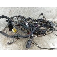 Проводка двигателя Z19DT. Opel Zafira 2 (B) 2011 55560421
