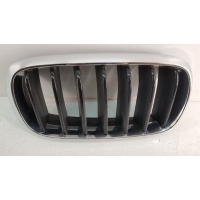 Решетка радиатора BMW X5 F15 2013- 7316076