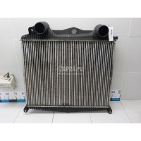 Интеркулер DT Spare Parts TGX (2007 - 2014) 316229