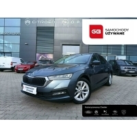 Skoda октавия 2.0 tdi 115km камера салон польша