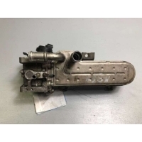 Радиатор EGR Volkswagen Golf 4 2003 038131513D, 038131063C