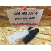 Форсунка топливная Volkswagen Passat 2002 06B 133 551 M, 0280 156 065