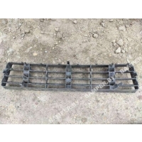 Заглушка (решетка) в бампер передний Audi A6 C5 (S6,RS6) 1999 4b0807683f