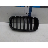 Решетка радиатора BMW X6 F16 2014- 7316076