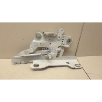 Петля капота правая BMW 3-serie F30/F31/F80 (2011 - 2020) 41617286344