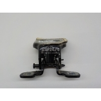 Петля двери Renault Duster 2012 804207876R