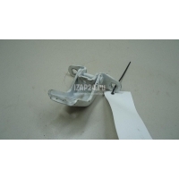 Петля двери Hyundai-Kia Optima III (2010 - 2015) 793103K000