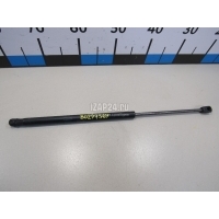 Амортизатор двери багажника BMW Countryman R60 (2010 - 2016) 51249801386
