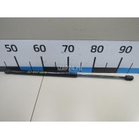 Амортизатор двери багажника BMW Countryman R60 (2010 - 2016) 51249801386