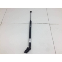 Амортизатор двери багажника Mazda CX-7 ER 2006-2012 EG2163620D