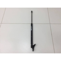 Амортизатор двери багажника Toyota Corolla E120 2001-2007 6896002031, 6896002032