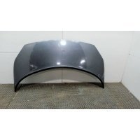 Капот Renault Scenic 2003-2009 2004