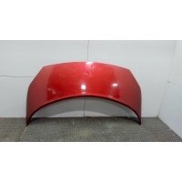 Капот Renault Scenic 2003-2009 2007 651001097R