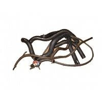 Honda cbf 600 абс , пк - 43 , водяные шланги