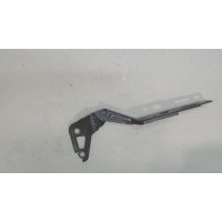 Петля капота левая Audi Q7 2006-2009 2006