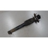 Амортизатор подвески зад. левая BMW X5 E53 2000-2007 2002 33506751543