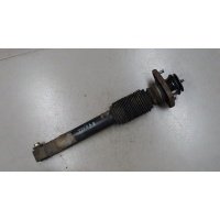 Амортизатор подвески зад. BMW X5 E53 2000-2007 2002 33506751543