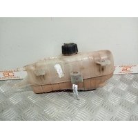 Бачок расширительный Renault Clio 3 2008 7701477290