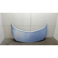 Капот Renault Scenic 2003-2009 2007 651001097R