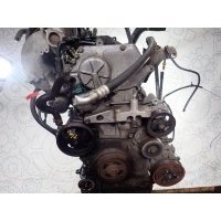 Насос гидроусилителя руля (ГУР) Nissan X-Trail (T30) 2001-2006 2005 491108H305