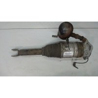 Амортизатор подвески зад. левая Audi A8 (D3) 2004-2010 2004 4e0616001f
