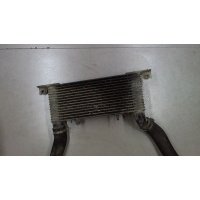 Радиатор интеркулера Mitsubishi Pajero 2000-2006 2002 MR404751