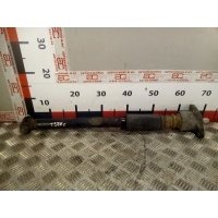 Амортизатор подвески задний левый Volkswagen Passat 5 GP (2000-2005) 2005 3B9513031N