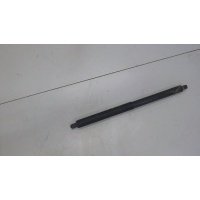Амортизатор крышки багажника левая=правая BMW X5 E70 2007-2013 2008