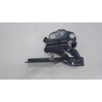 Петля капота, левая Volkswagen Passat 7 2010-2015 2013 3AA823301