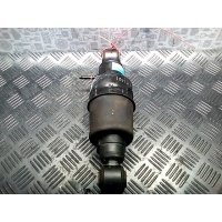 Амортизатор подвески задний правый Infiniti QX 56 (JA60) (2003-2010) 2008 56200ZV60A