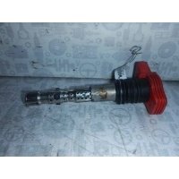 Катушка зажигания Audi A4 B6 (2001-2004) 2001 06C905115F