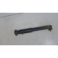 Амортизатор подвески, зад. левая=правая Renault Scenic 2003-2009 2004 8200415734