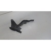 Петля капота левая Hyundai Santa Fe 2005-2012 2006 791102B000