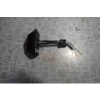 Ограничитель открывания двери BMW 3-Series (E90/E91/E92/E93) (2004-2013) 2006 7060189,51217259243