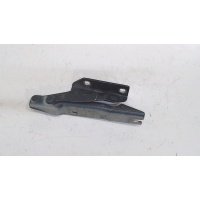 Петля капота, левая BMW 5 E60 2003-2009 2008 41617120275