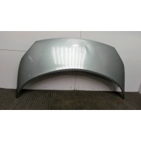 Капот Renault Scenic 2003-2009 2004 651001097R