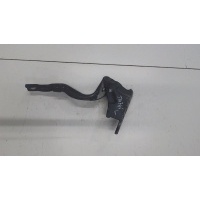 Петля капота, левая Hyundai Santa Fe 2005-2012 2009 791102B000