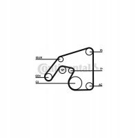 комплект ремня continental ctam