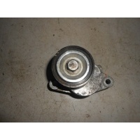 Ролик-натяжитель Renault Duster 2009- 8200933753